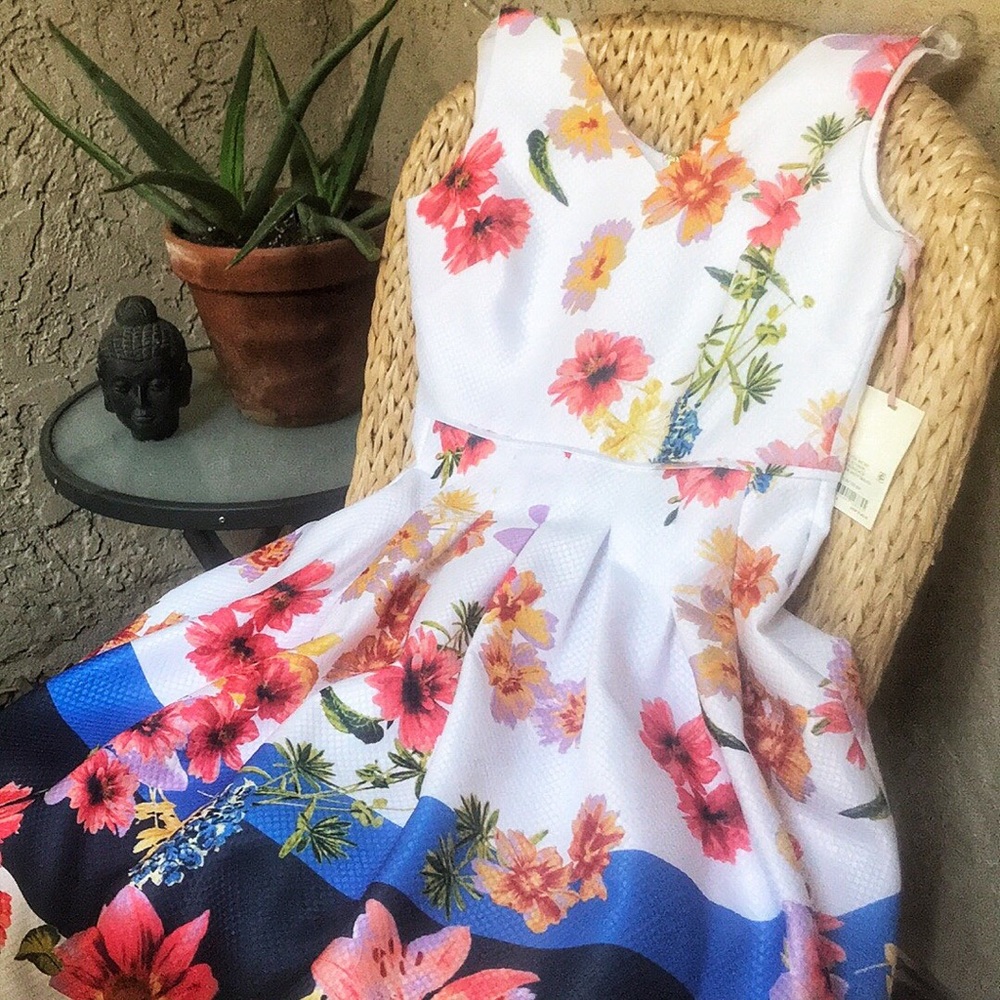 NWT! Alex Marie 🌼 Selina Floral Flare Dress - Picture 3 of 7